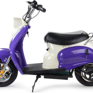 MotoTec 24v Electric Moped