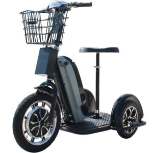MotoTec 48v 800w Electric Trike