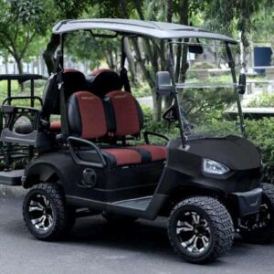 48V Electric Golf Cart 4 Seater Renegade Light Edition Utility Golf UTV – LIGHT EDITION – MATTE BLACK