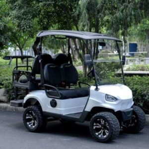 48V Electric Golf Cart 4 Seater Renegade Light Edition Utility Golf UTV – LIGHT EDITION – WHITE